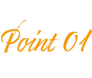 Point 01