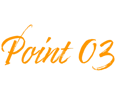 Point 03
